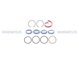 Zestaw uszczelnień siłownika skrętu ORYGINAŁ Jungheinrich 50048582